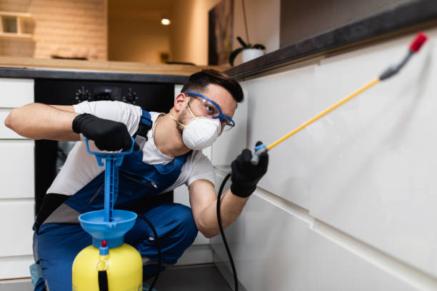 Best Affordable Pest Control Services  in Ottawa, KS