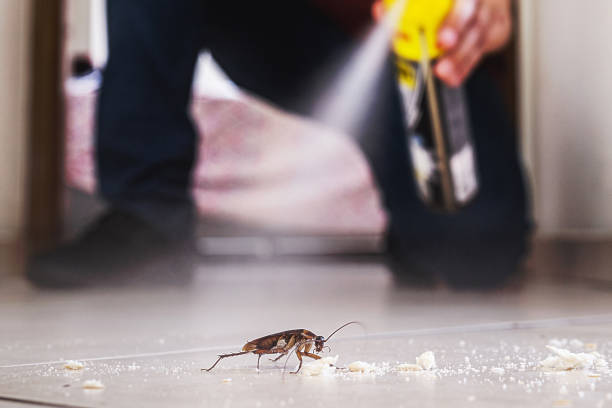 Best Mosquito Control Services  in Ottawa, KS