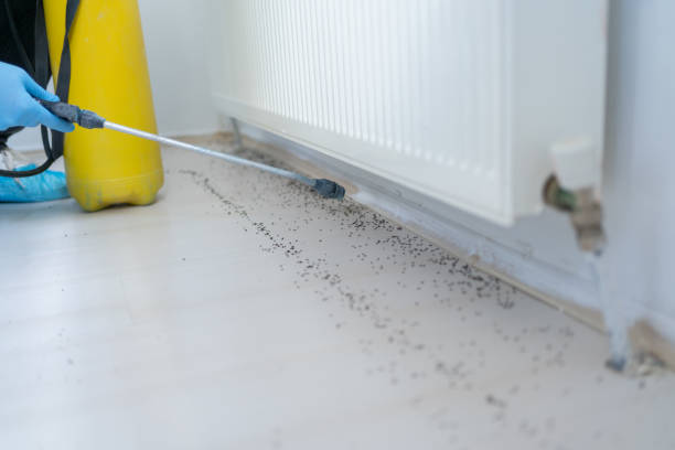 Best Commercial Pest Control Services  in Ottawa, KS