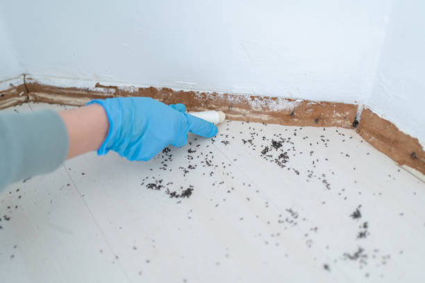 Best Residential Pest Control  in Ottawa, KS